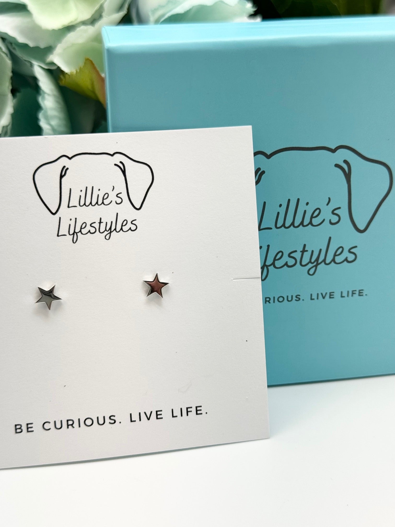 Sterling Silver Star Stud Earrings