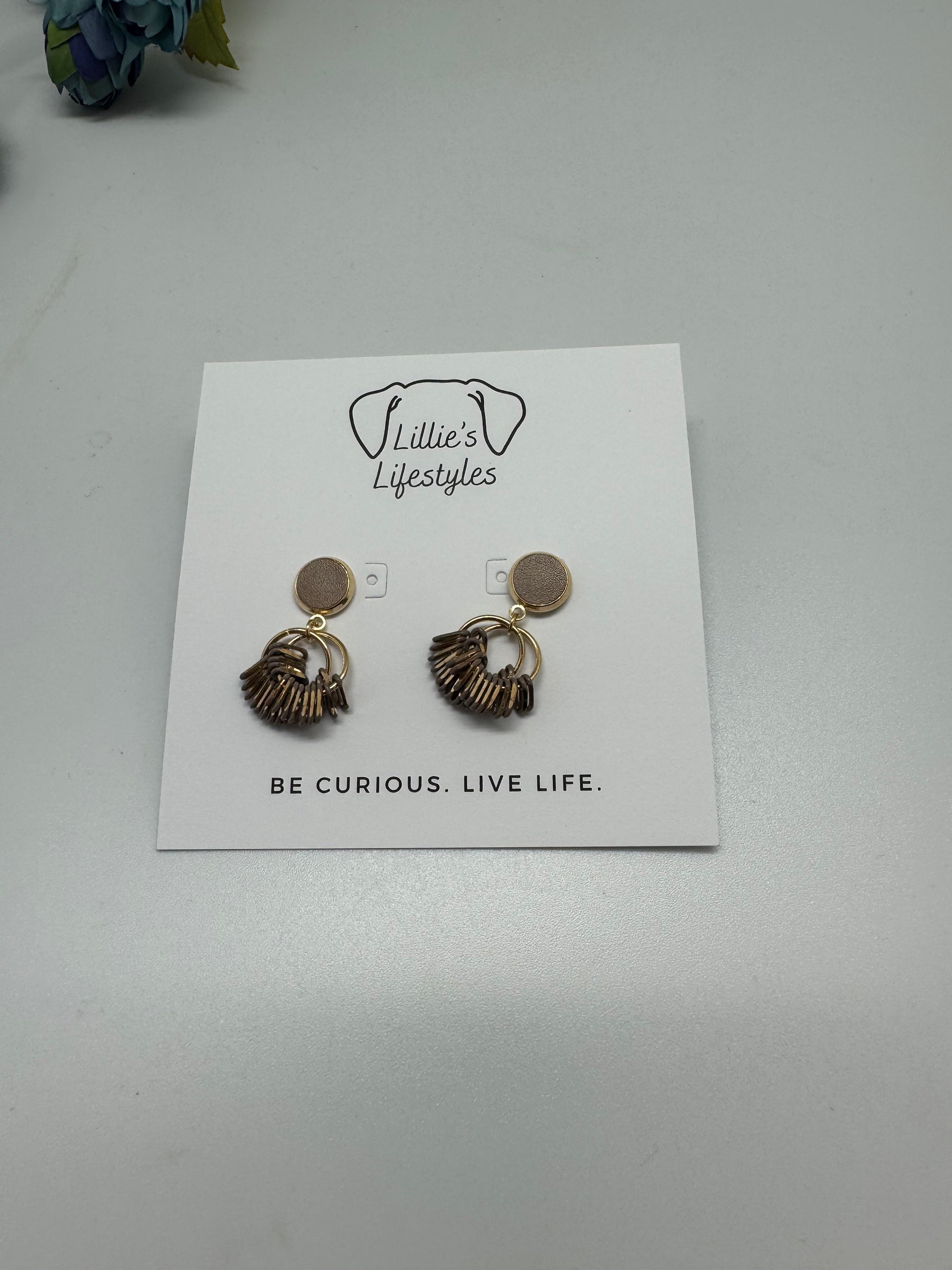 Brown Drop Charm Earrings